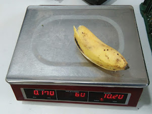 "Bananas" imported from India are sold by weight in the retail grocery shop.