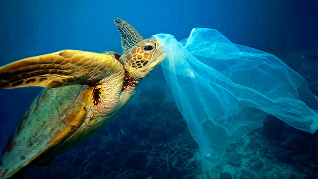 Los plásticos de los mares