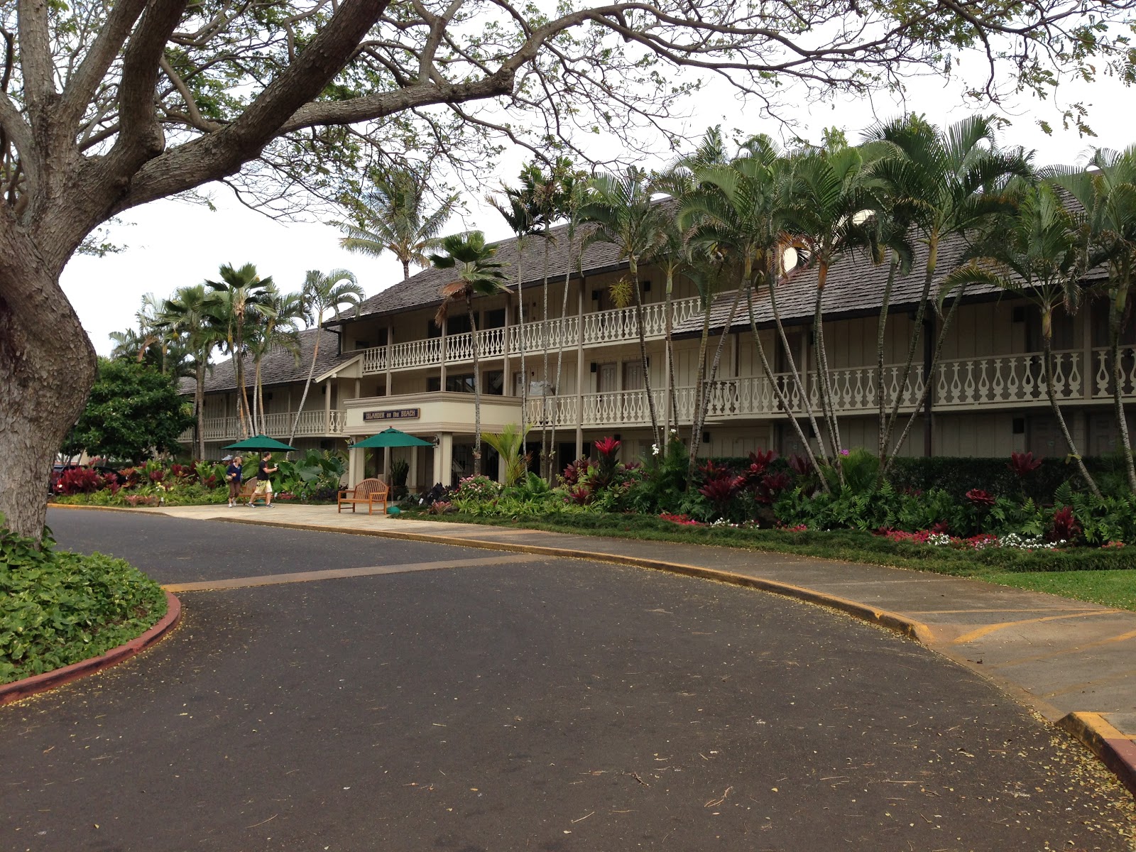 TASTE OF HAWAII KILAUEA FISH MARKET KAPAA, KAUAI