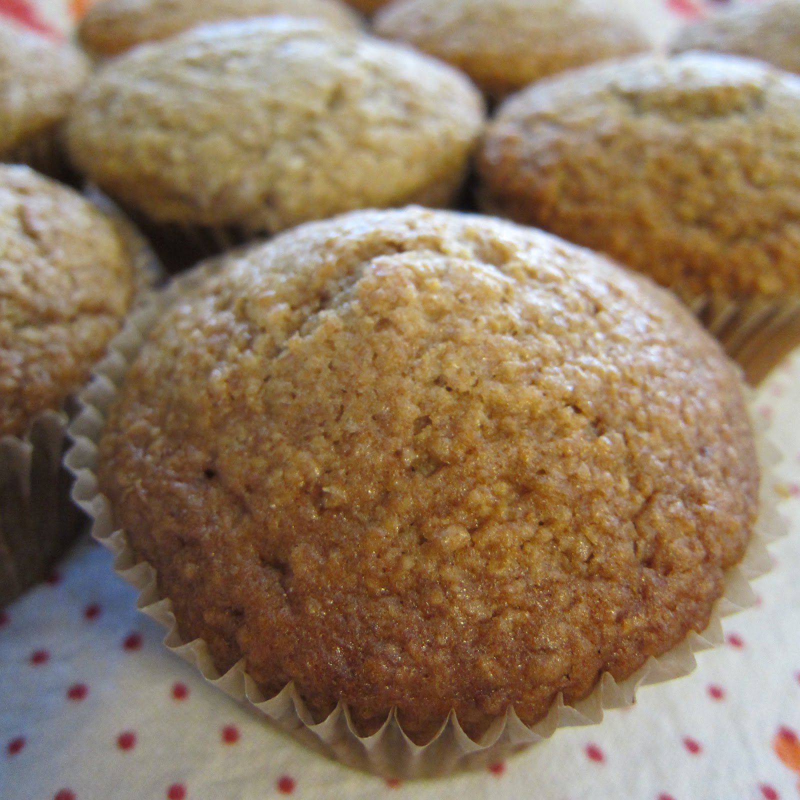 Clever Wren Oat Bran Muffins