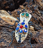 Merida Mexico beetles with Jewelry decoration 