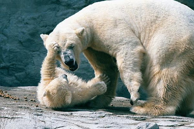 Discount coupons for southwick zoo