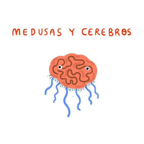 medusas&cerebros (Manuel Marsol)