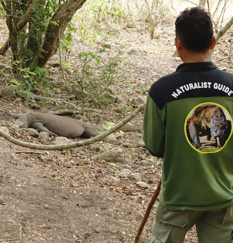 tesyasblog : Komodo Trip With Kids: Visiting Rinca Island