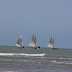 Areia Branca sedia etapa do Circuito Petrobras de Vela 2012