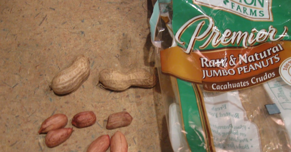 Growing Food in Florida Let's grow some peanuts