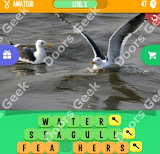 1 Pic 3 Words Level 47 answers cheats, solutions, walkthrough for 1 pic 3 words level 47
