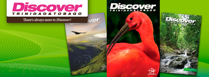 Discover T&T