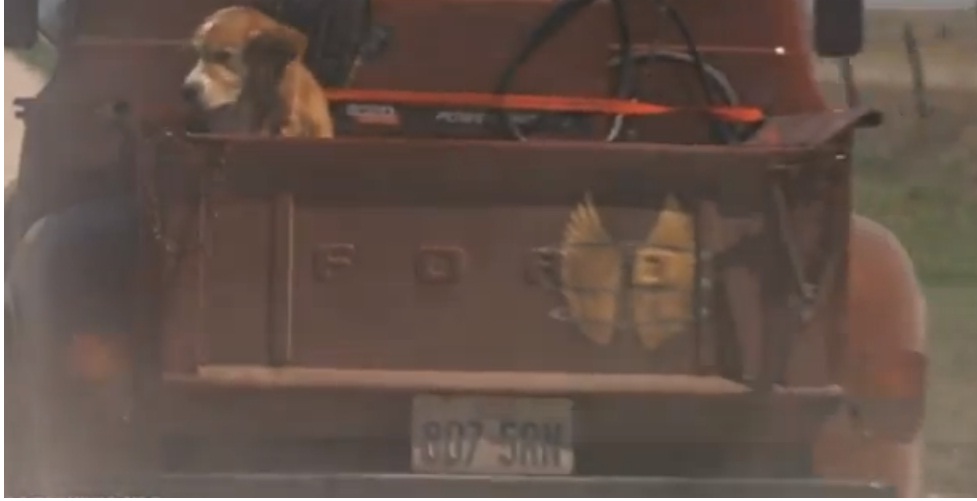 david 3816 Cast Away (film)