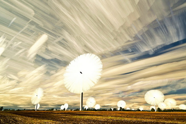 © Matt Molloy © Matt Molloy