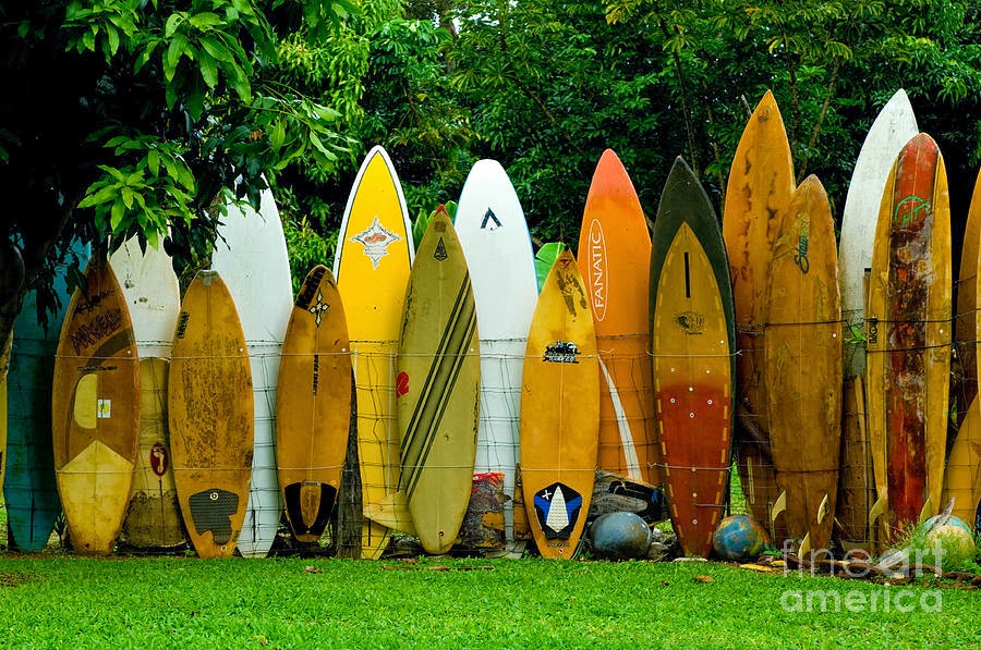 Buy And Sell Surfboards In Australia Sell Surfboards In Australia The Online Way