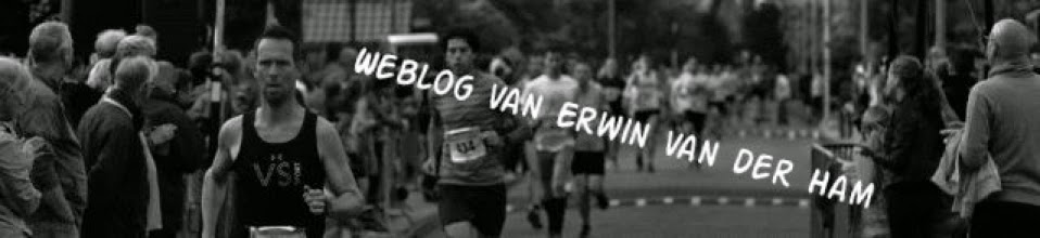 De Weblog van Erwin van der Ham