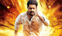 NTR to Increase Crime Rate with ‘Dammu’ !?