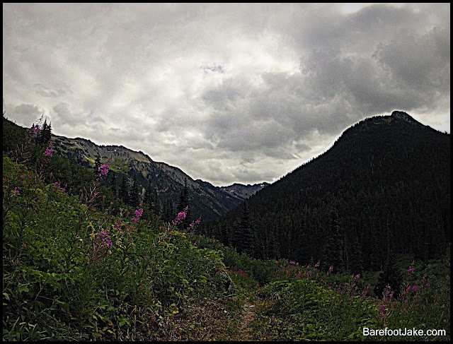 Dosewallips river trail