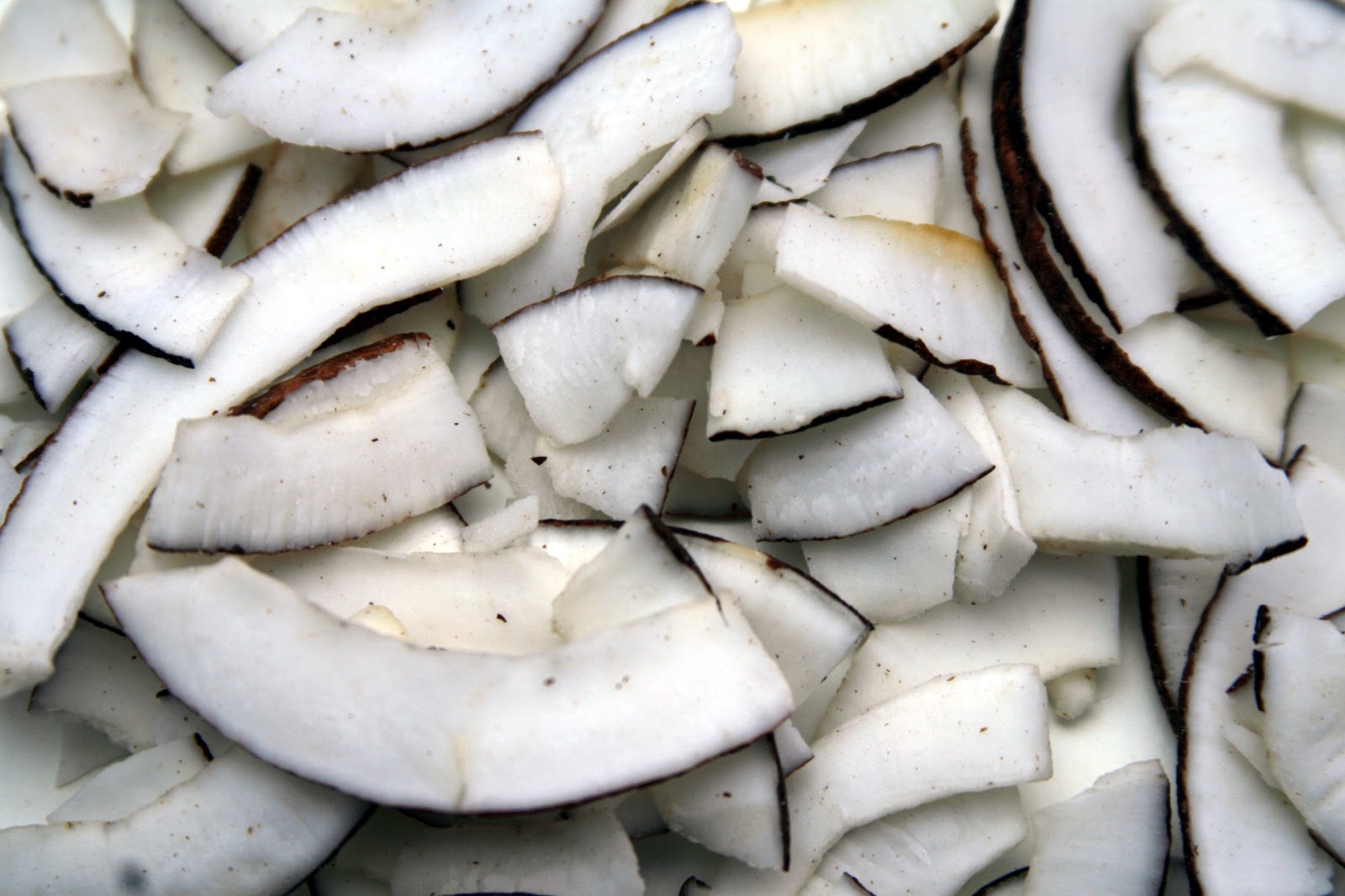 fun size beauty FOOD FRIDAY Prana Organic Dry Roasted Coconut Chips