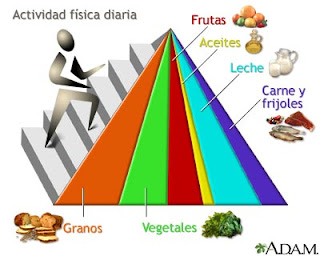 Nueva pirámide nutricional recetas