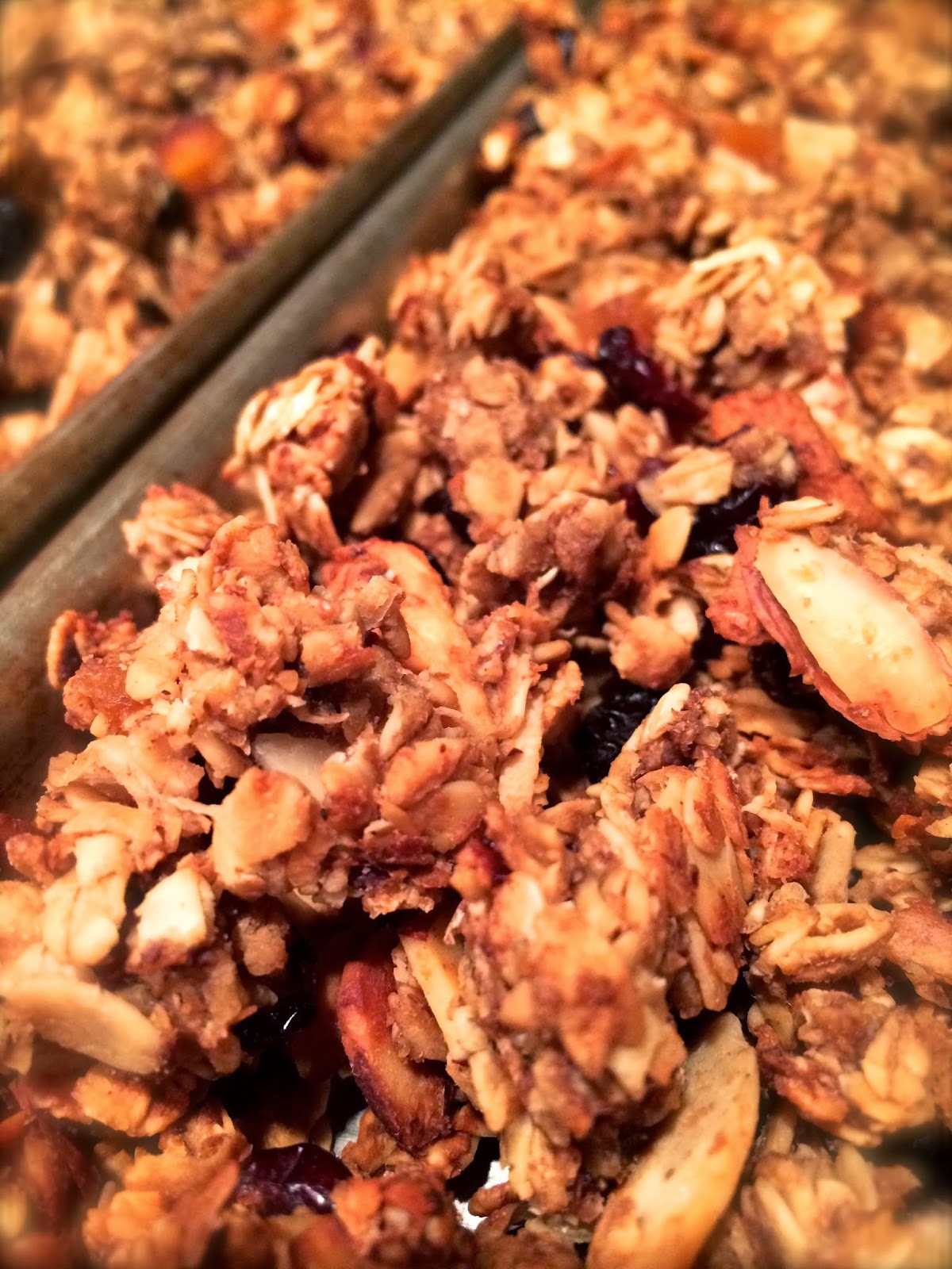 Working Cook Molasses Honey Granola