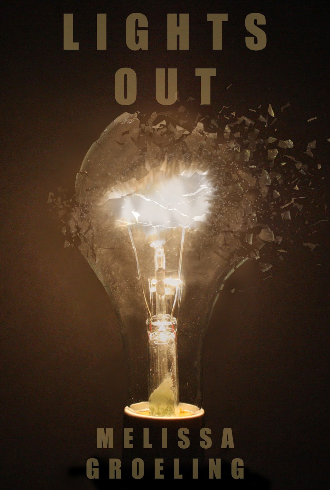 Diane’s Book Blog Lights Out by Melissa Groeling Interview