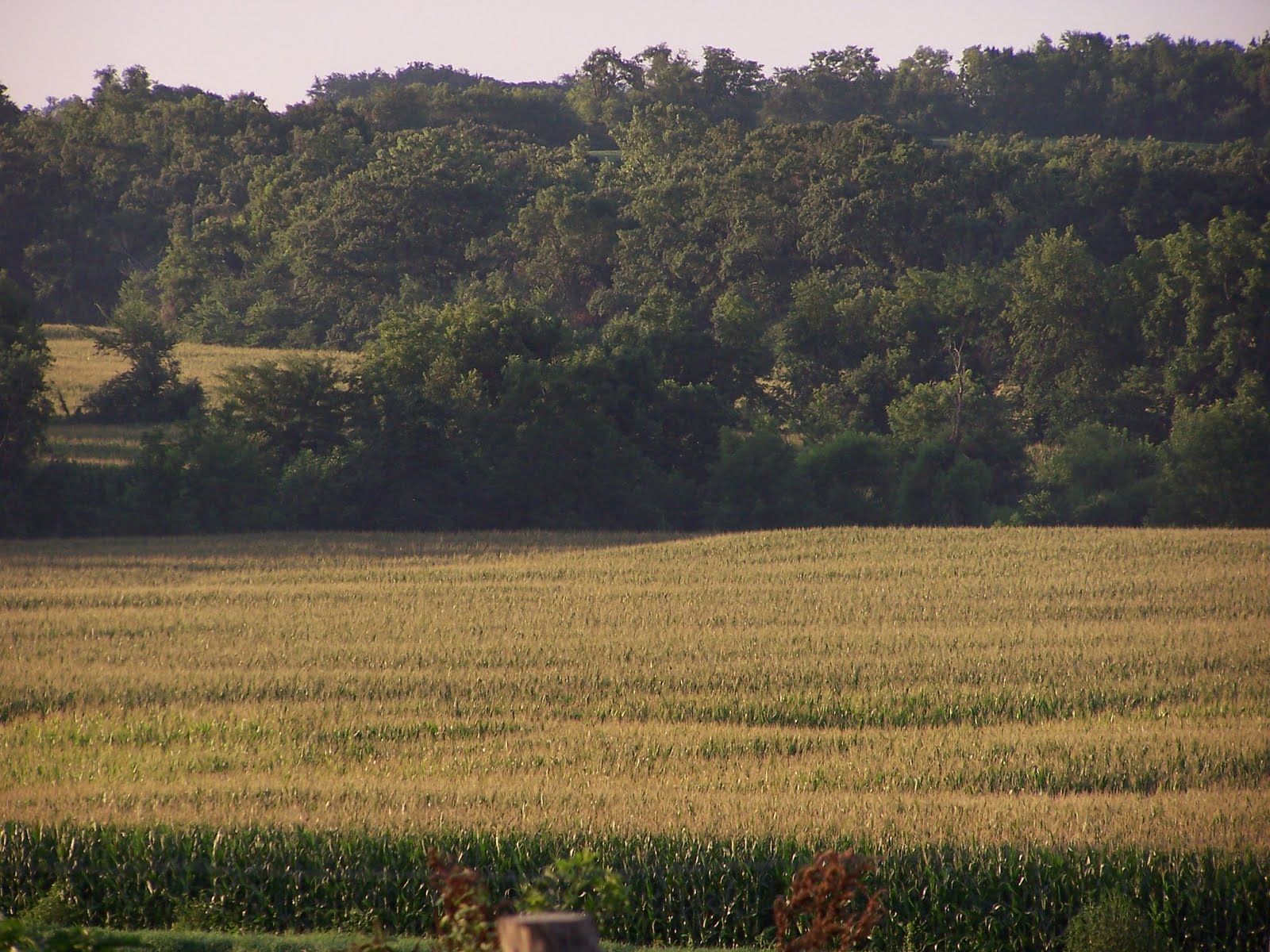 Spirit Called Tonganoxie Split