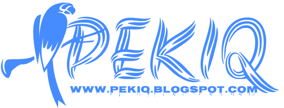 Pekiq Mobile blog 