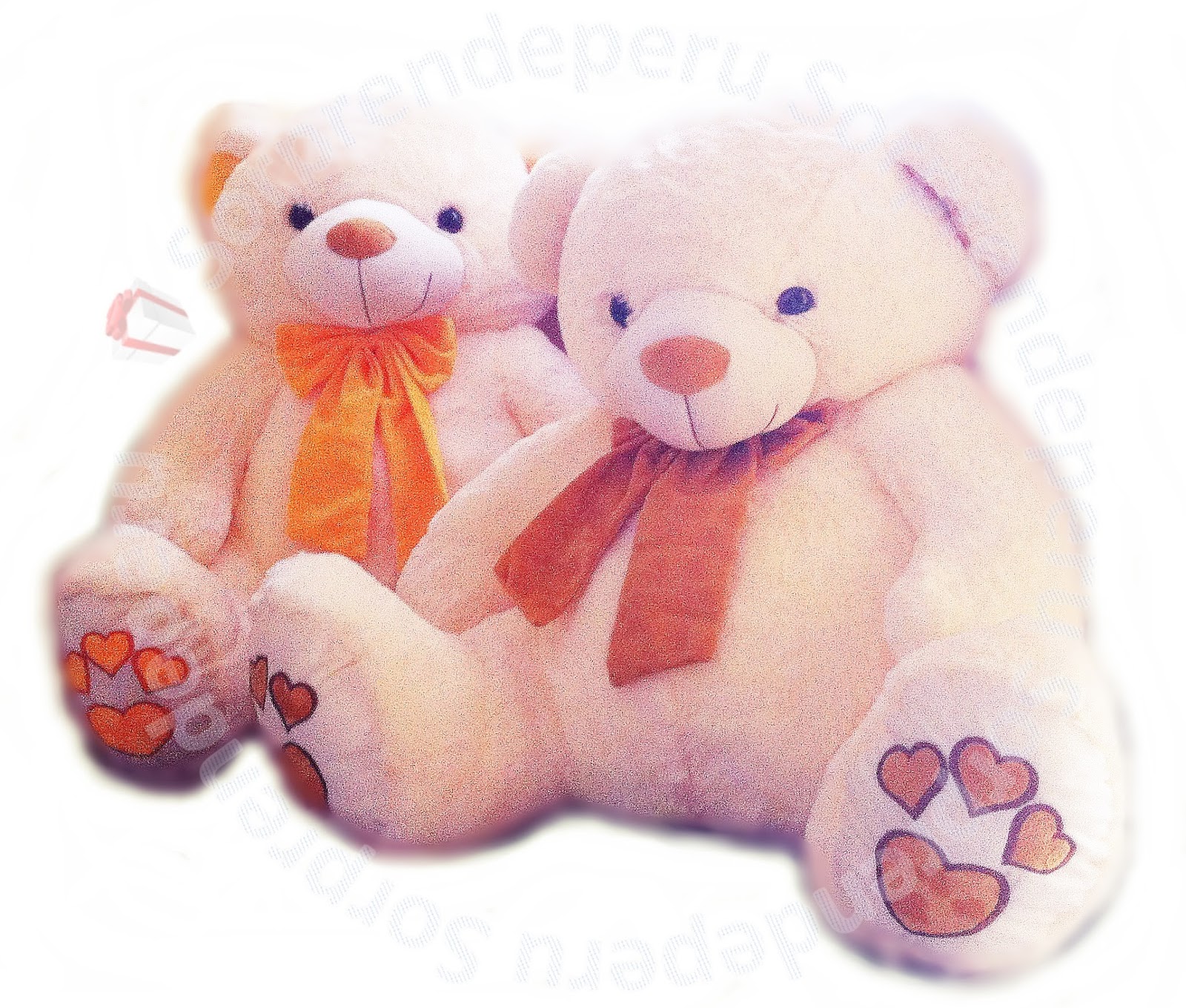osos de peluche a domicilio