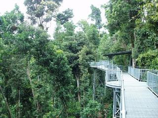 Canopy Walk Forest in Malaysia