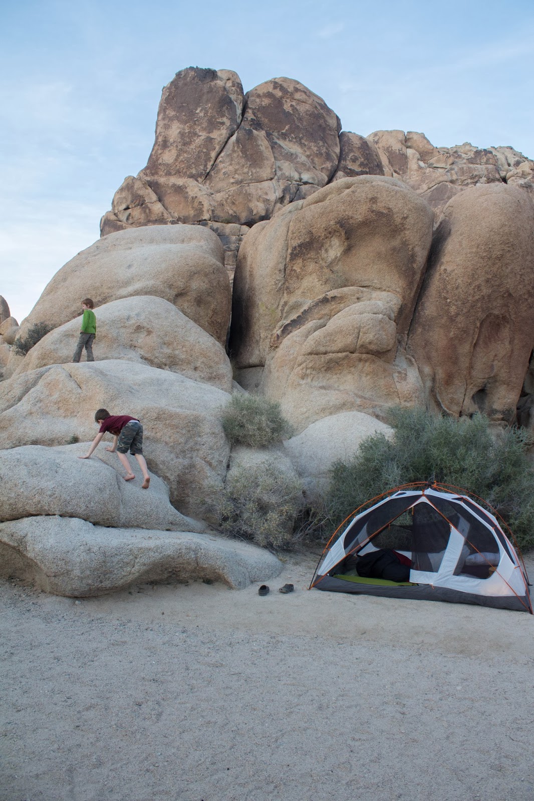 Pete and Buzz Joshua Tree NP Camping at Indian Cove