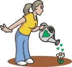 We can water our plants by using rainwater or by the previous water we ... We can water our plants by using rainwater or by the previous water we ...