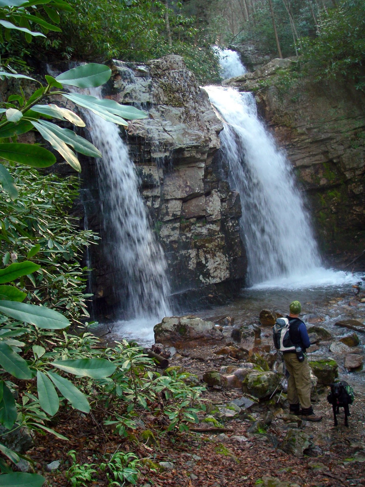 Hiking Trails Near Me With Waterfalls Nc | ReGreen Springfield
