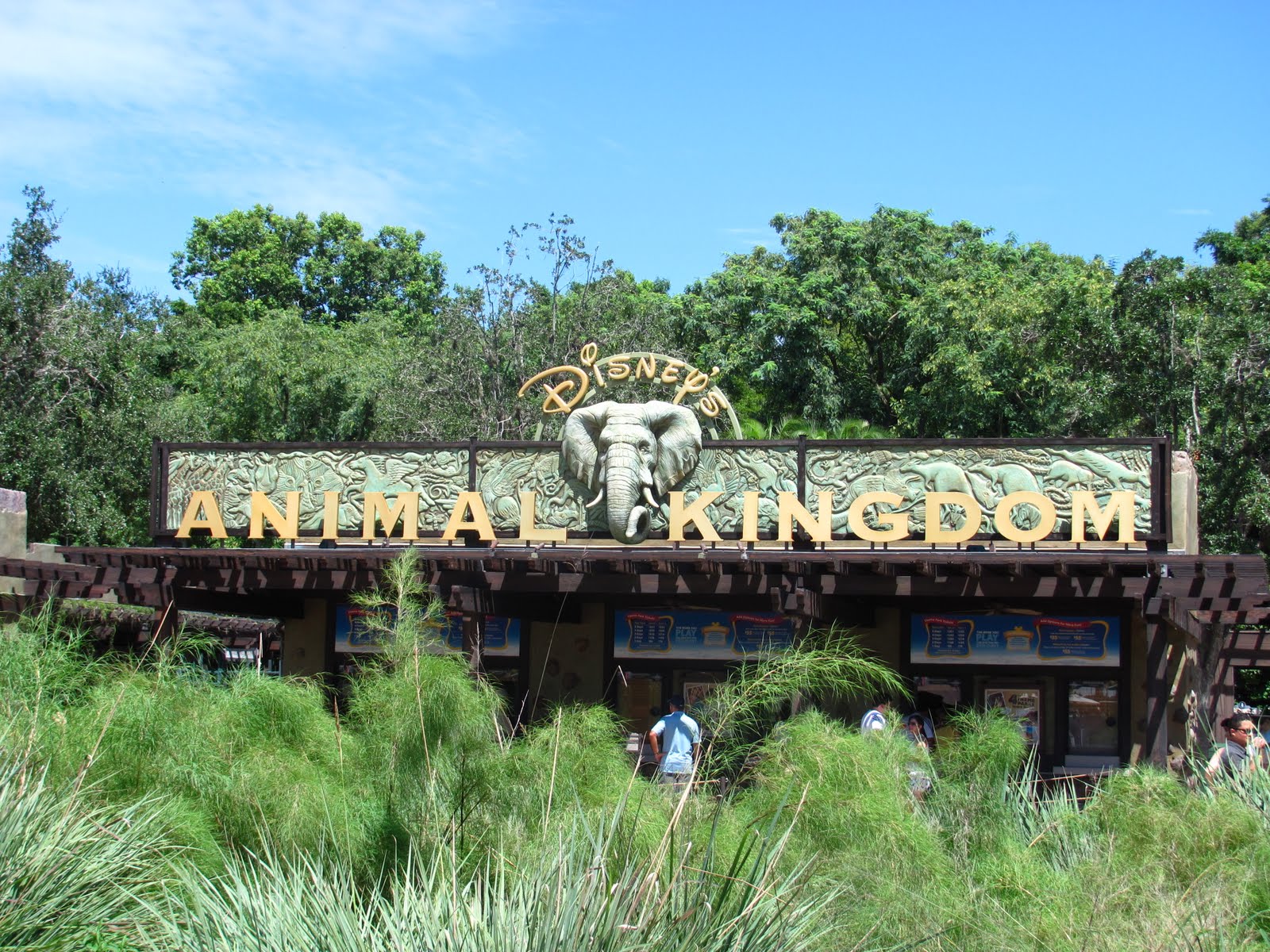 Oliver's Journey Day 3 Florida ANIMAL KINGDOM & HOLLYWOOD STUDIOS