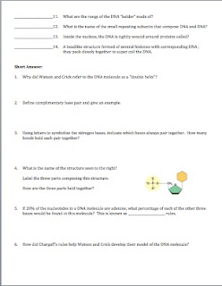 Dna Quiz
