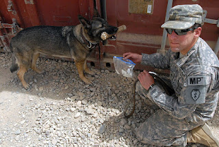 Dogs In The Military