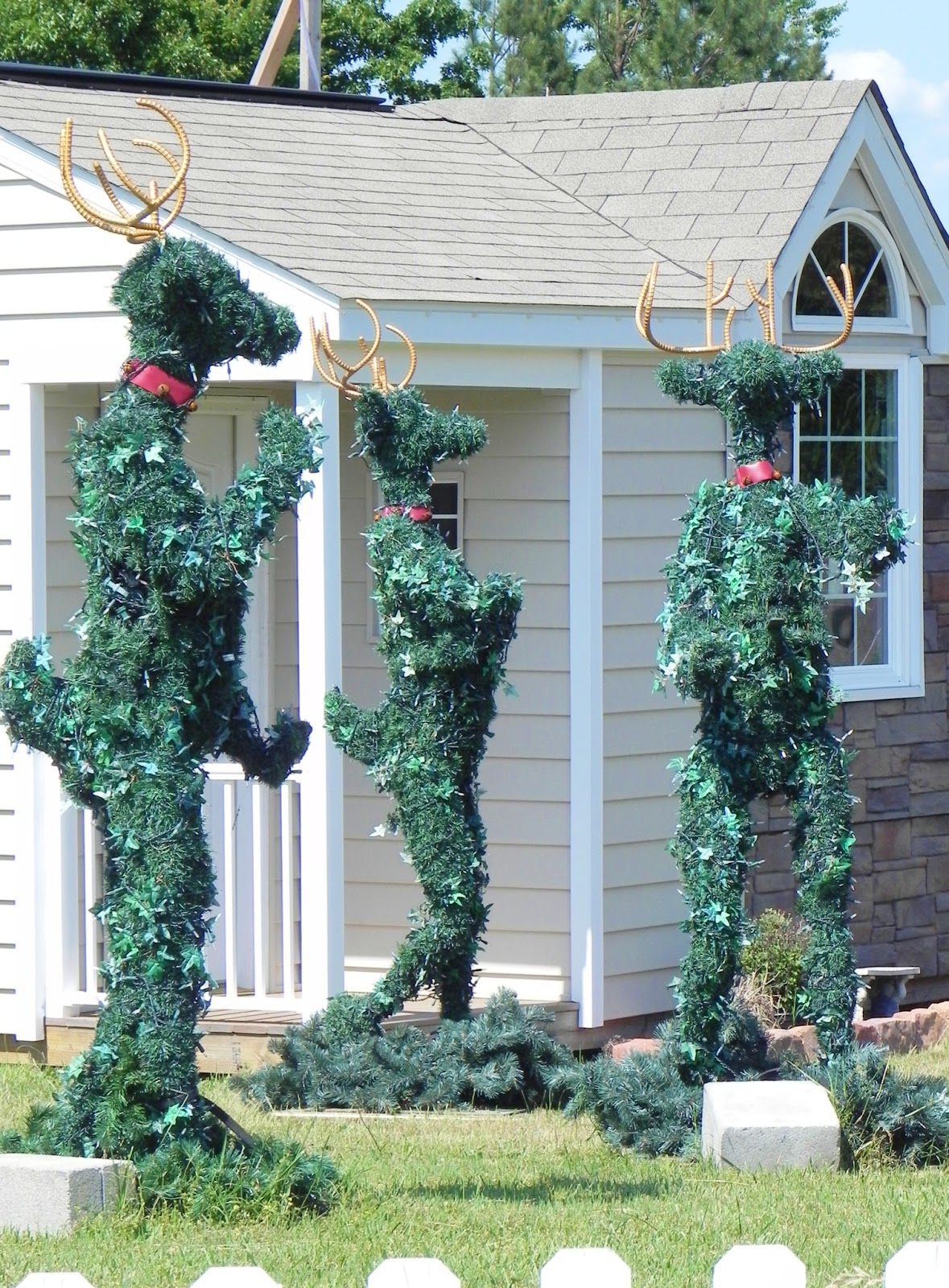 Let Your Light Shine Crooked Moose Houses