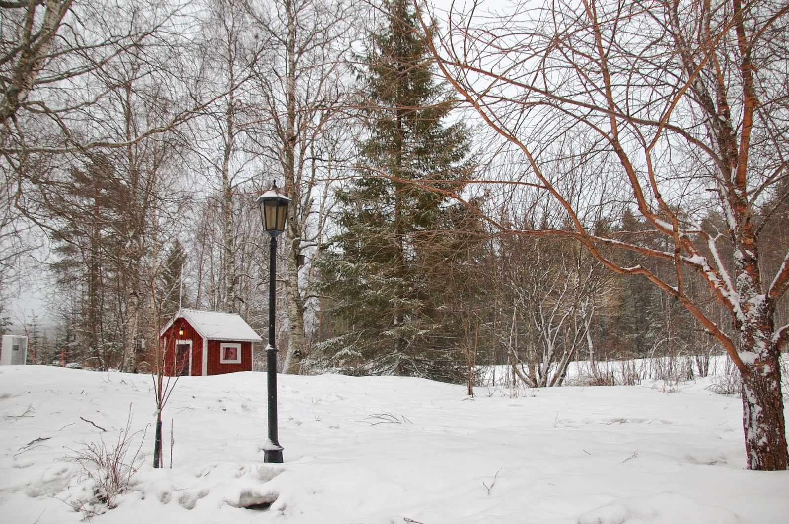 Svanå trädgård: april 2015