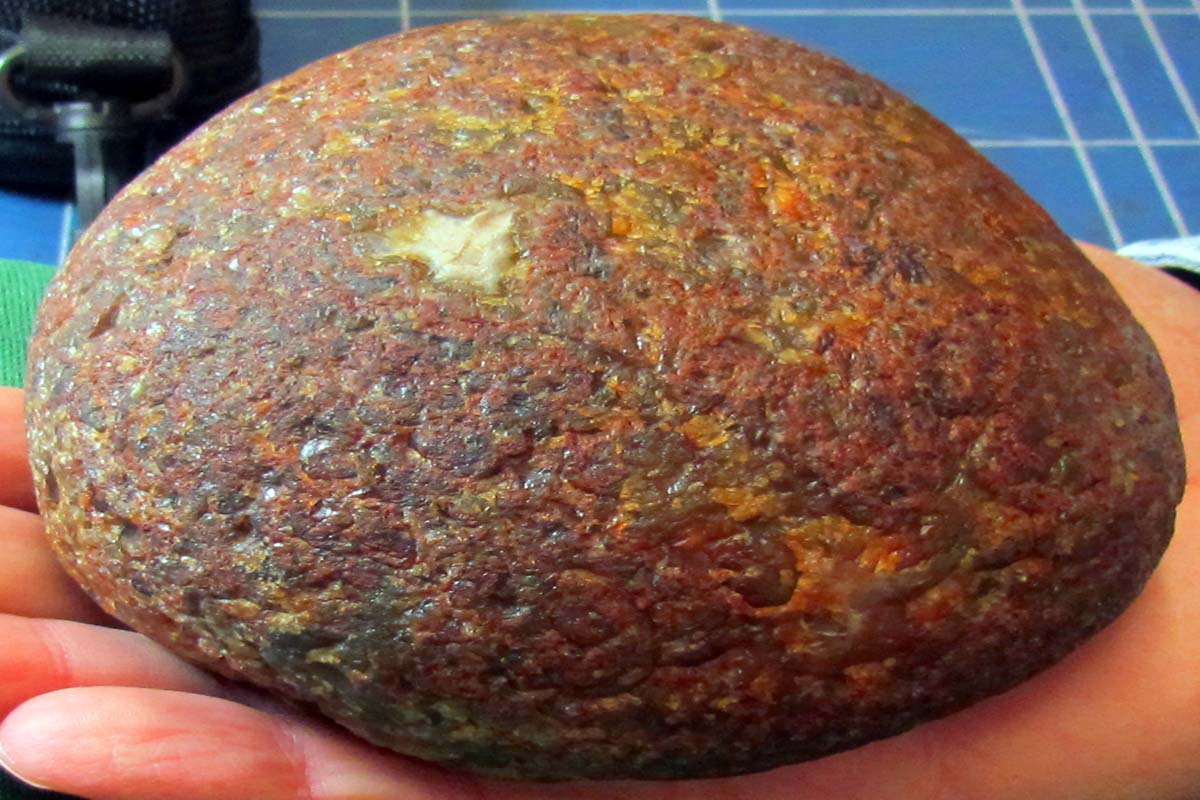 The Agatelady Adventures and Events Agate Collection Crawl Post 1