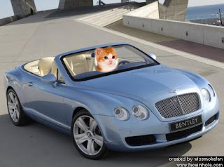 Bentley Corzan