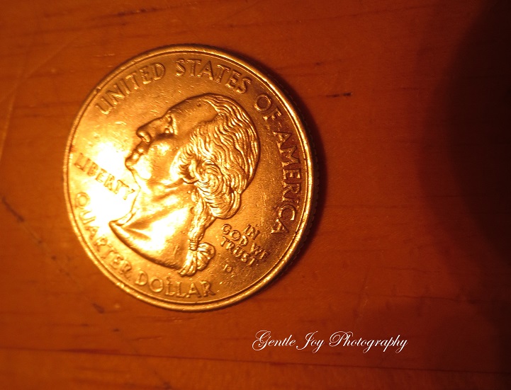 Gentle Joy Photography Counting Change Back