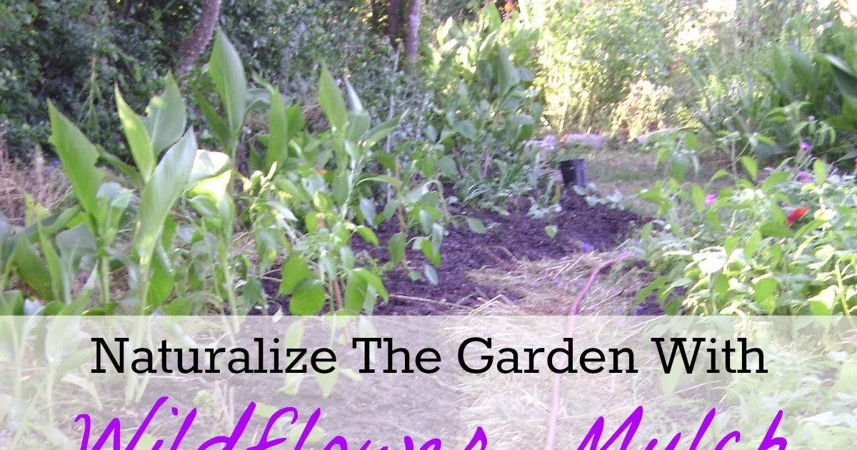 TSG The Making of Wildflower Mulch