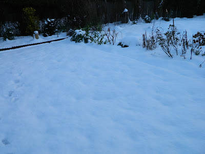 jan+13+snow+004.JPG