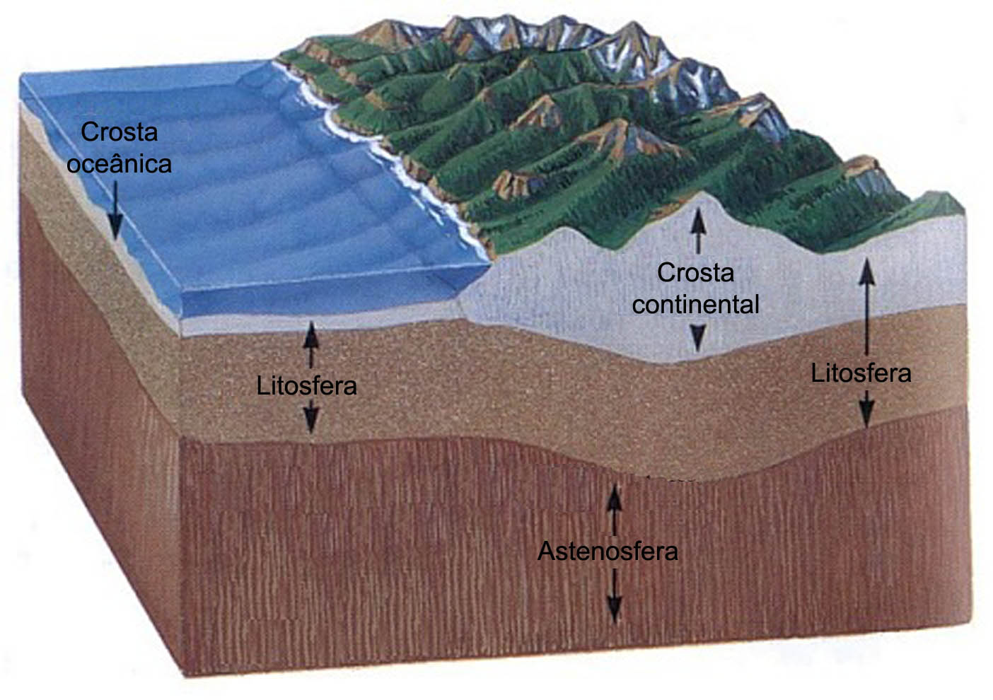 LITOSFERA ATMOSFERA litosfera atmosfera: