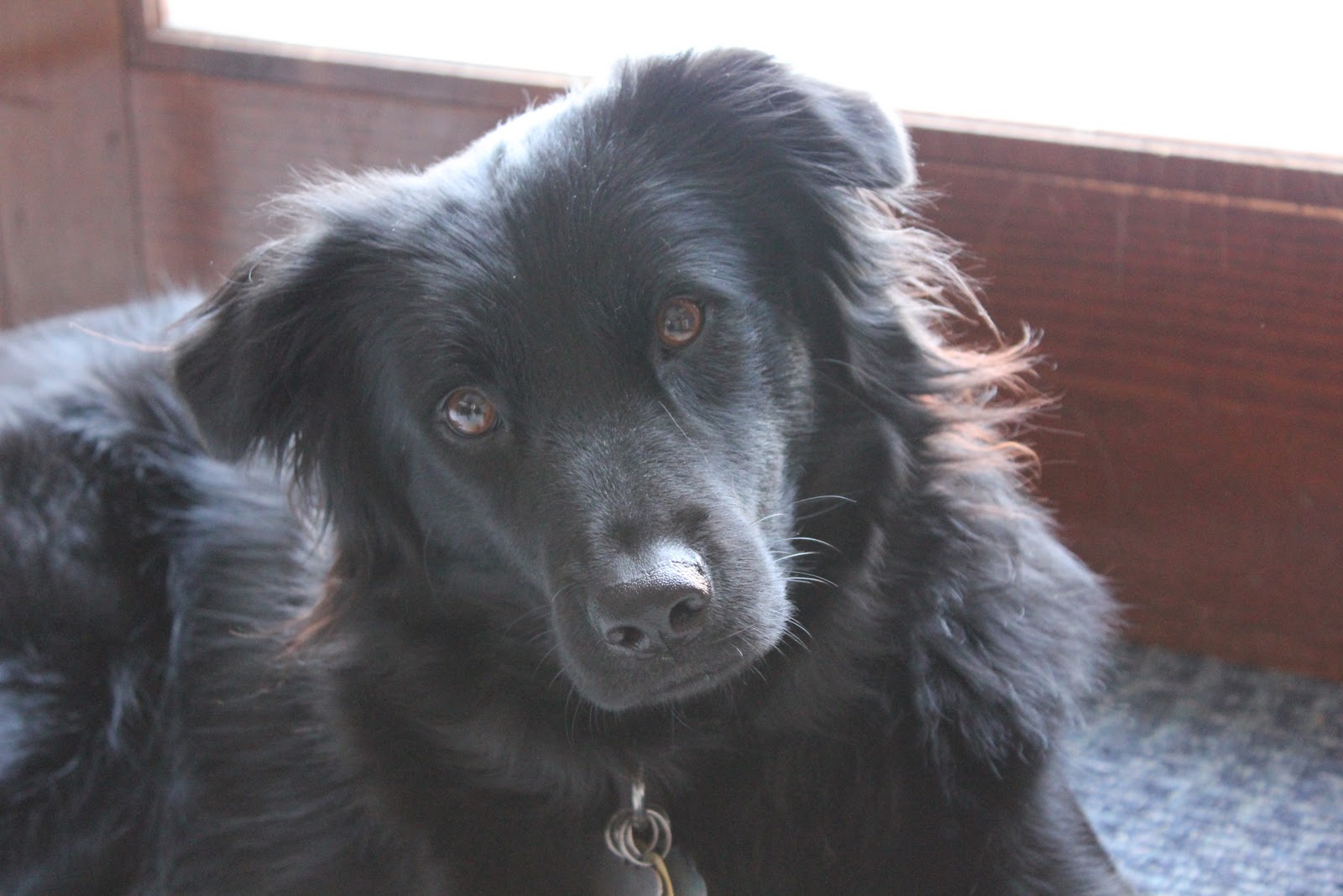 Sweet, brave Lilah. You can see the calm confidence in her eyes. She's come a long way.