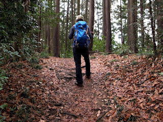 今年初の山歩き
