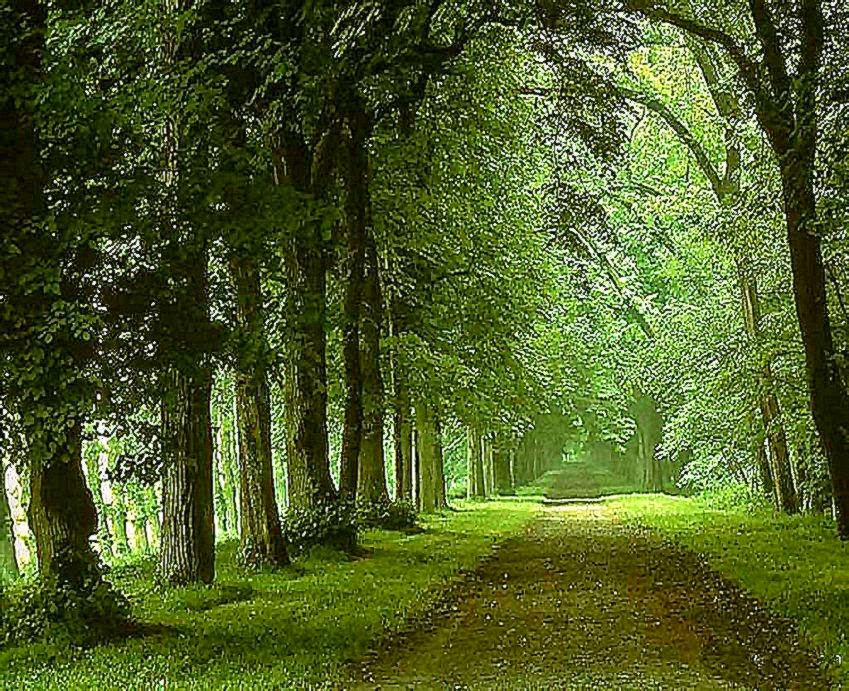 IRBOB SEVENFOLD spring nature wallpaper desktop IRBOB SEVENFOLD spring nature wallpaper desktop