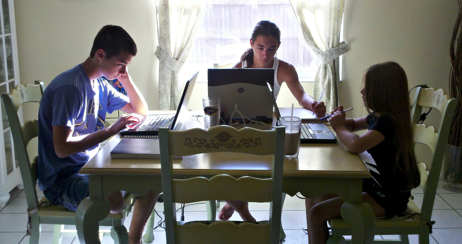 Analitikel expository essays