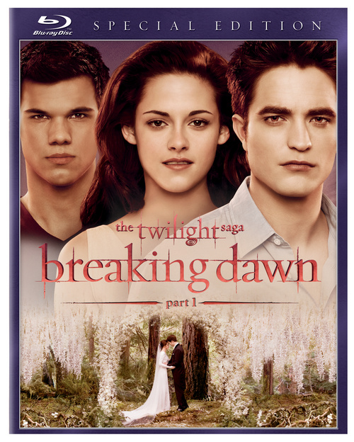 Twilight breaking dawn part one