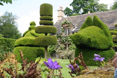The Big Bang Master: Amazing Topiary Art Wallpapers