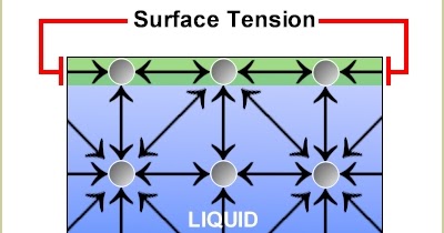 surface tension surface tension
