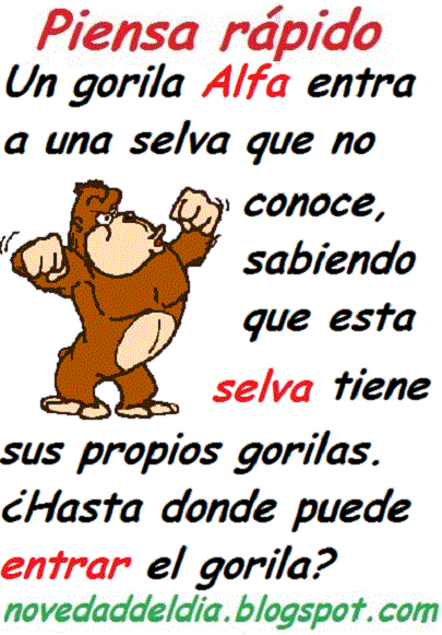 colocar cadenas gorila 191 sab 205 as que 191 qu 233 tanto sabes de animales colocar cadenas gorila 191 sab 205 as que 191 qu 233 tanto sabes de animales