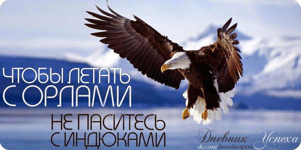 Летающий высоко афоризмы Летающий высоко афоризмы