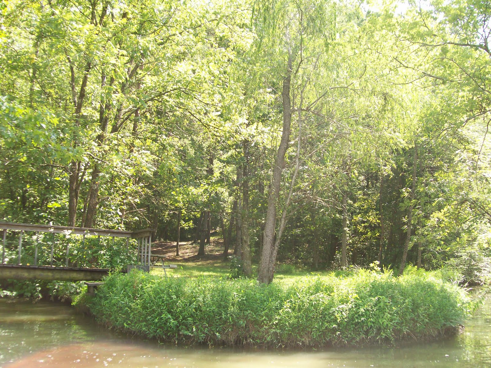 Paddling the Little Tennessee River Bakers Creek paddle on Tellico Lake